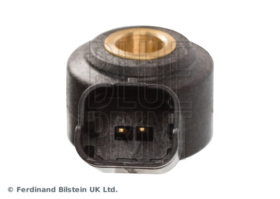 Blue Print ADBP720001