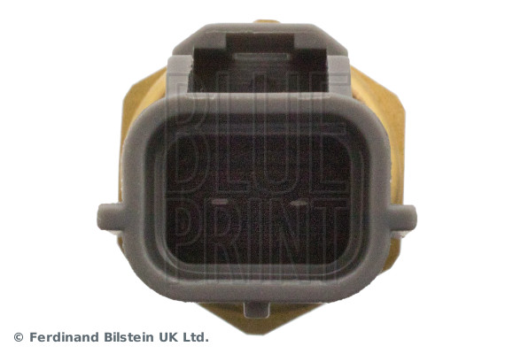 Blue Print ADBP720005