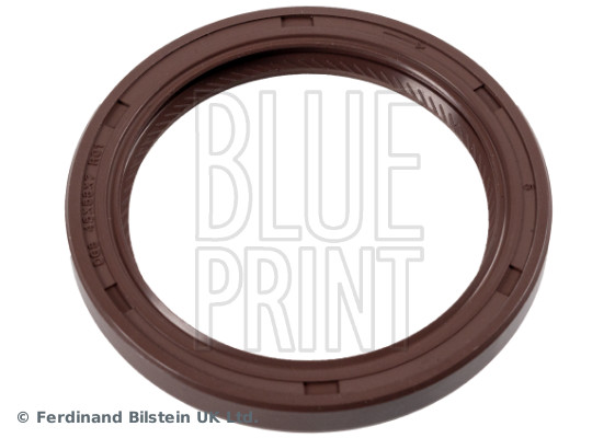 Blue Print ADN16148
