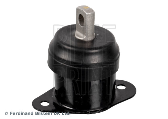 Blue Print ADBP800149