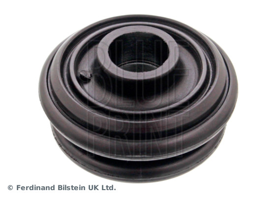 Blue Print ADBP800216