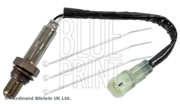 Blue Print ADBP700022