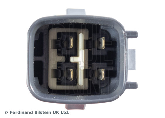 Blue Print ADBP700024