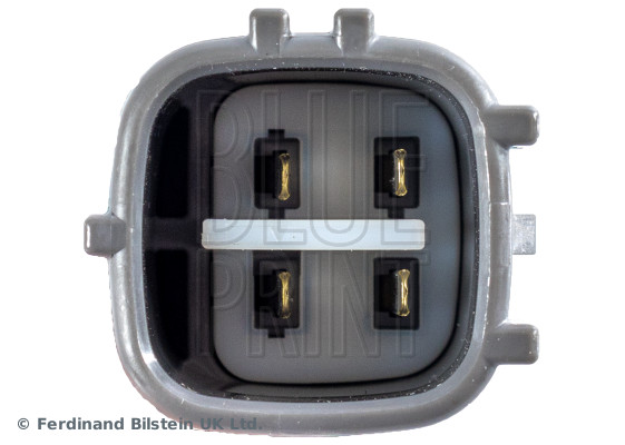 Blue Print ADBP700025