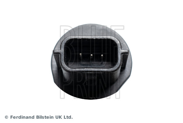 Blue Print ADBP720025