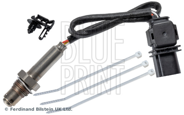 Blue Print ADBP700071
