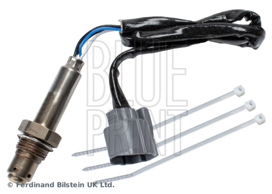 Blue Print ADBP700111