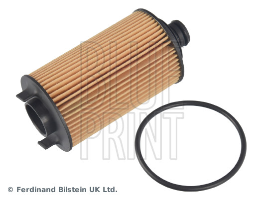 Blue Print ADBP210129