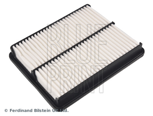 Blue Print ADBP220101