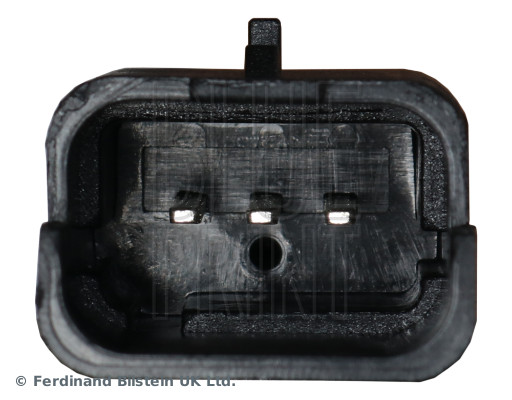 Blue Print ADBP230054