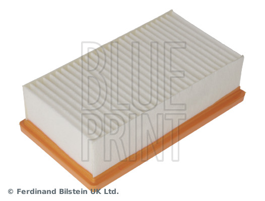 Blue Print ADBP220114