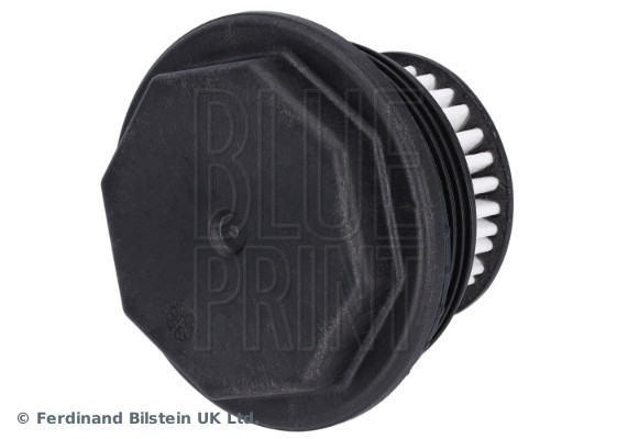 Blue Print ADBP210154