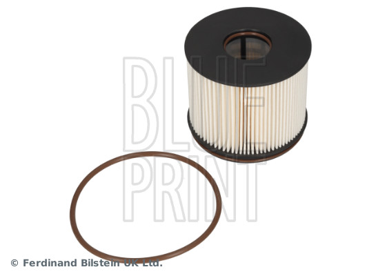 Blue Print ADBP230062