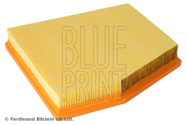 Blue Print ADBP220142