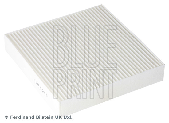 Blue Print ADBP250117