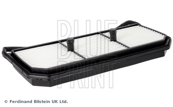 Blue Print ADBP220174