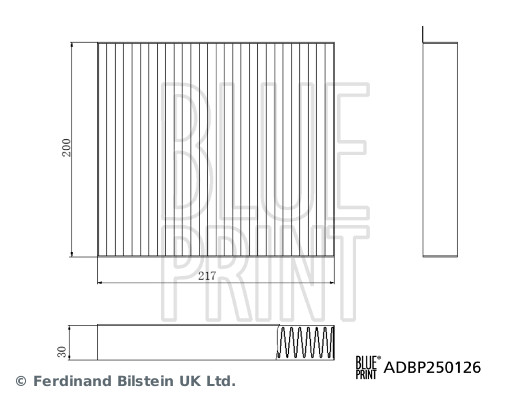 Blue Print ADBP250126