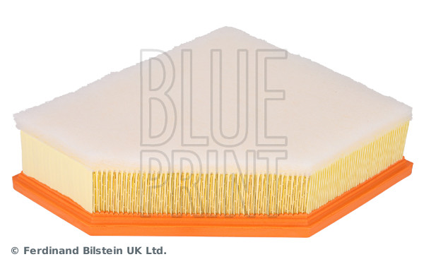 Blue Print ADBP220181