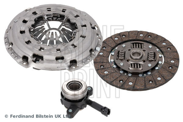 Blue Print ADBP300206