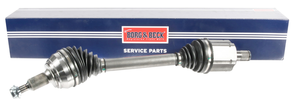 Borg & Beck BDS1819