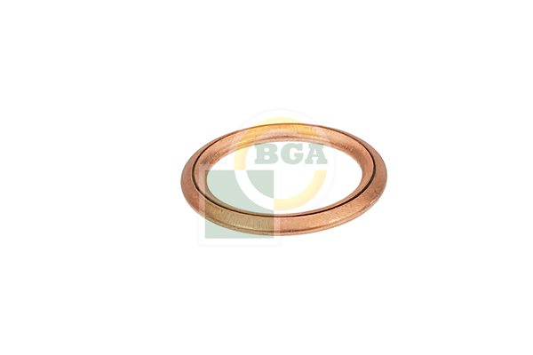 BGA PK01004