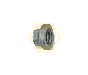 NAPA NWN1010