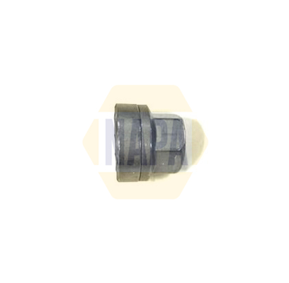 NAPA NWN1012