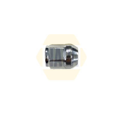 NAPA NWN1019