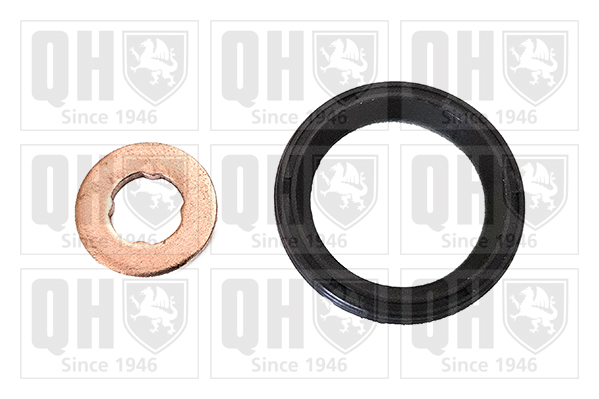 Quinton Hazell XPSI164K Injector Seal