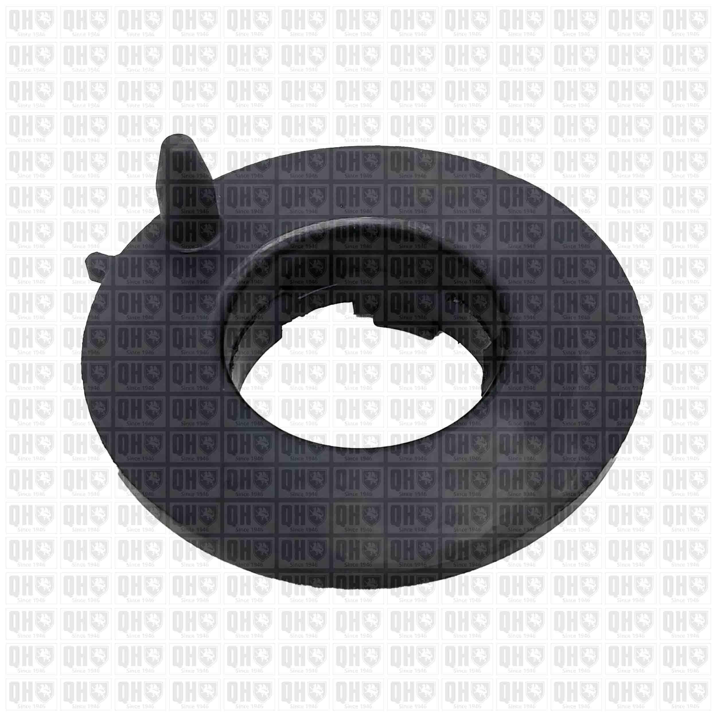 Quinton Hazell EMR6166