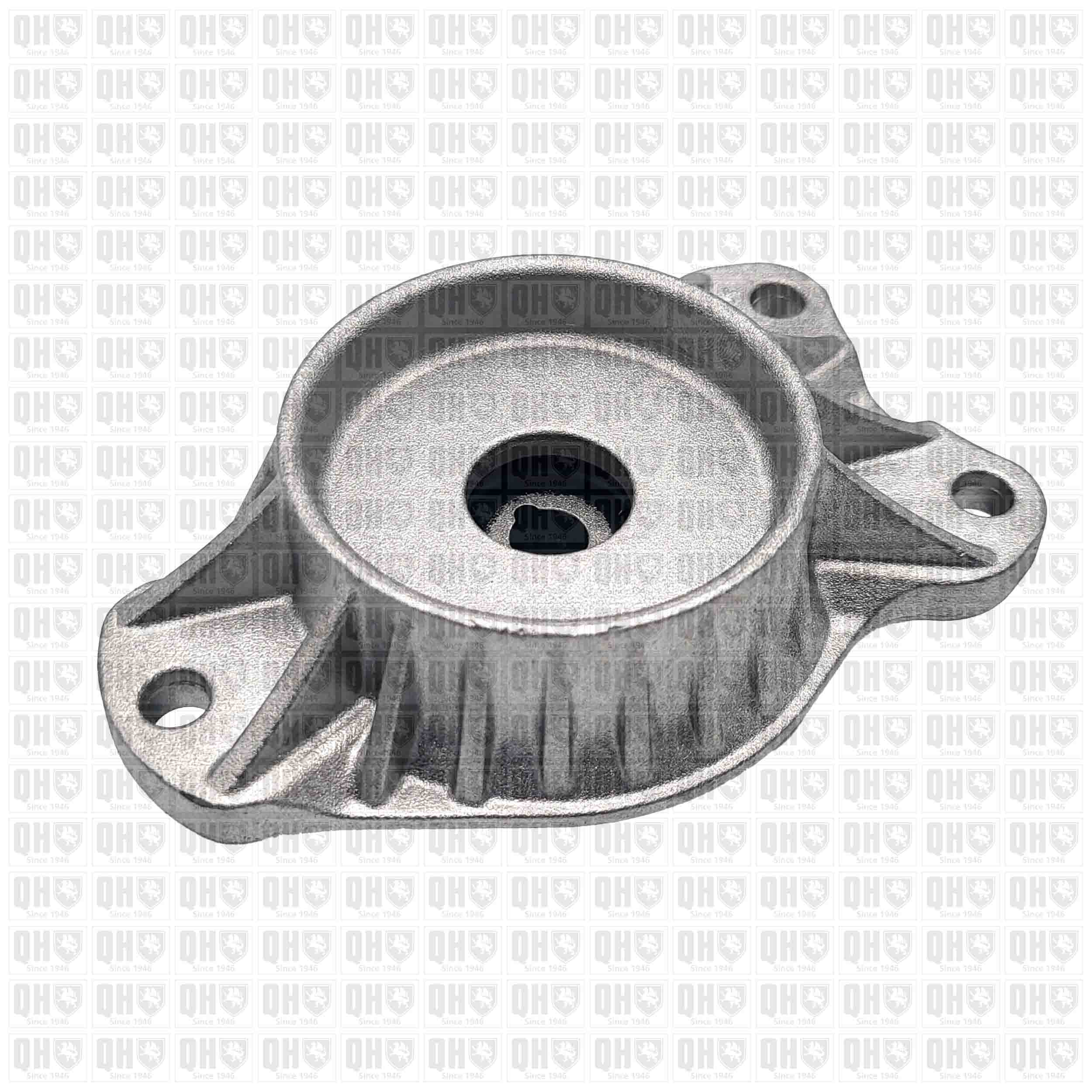 Quinton Hazell EMR6169