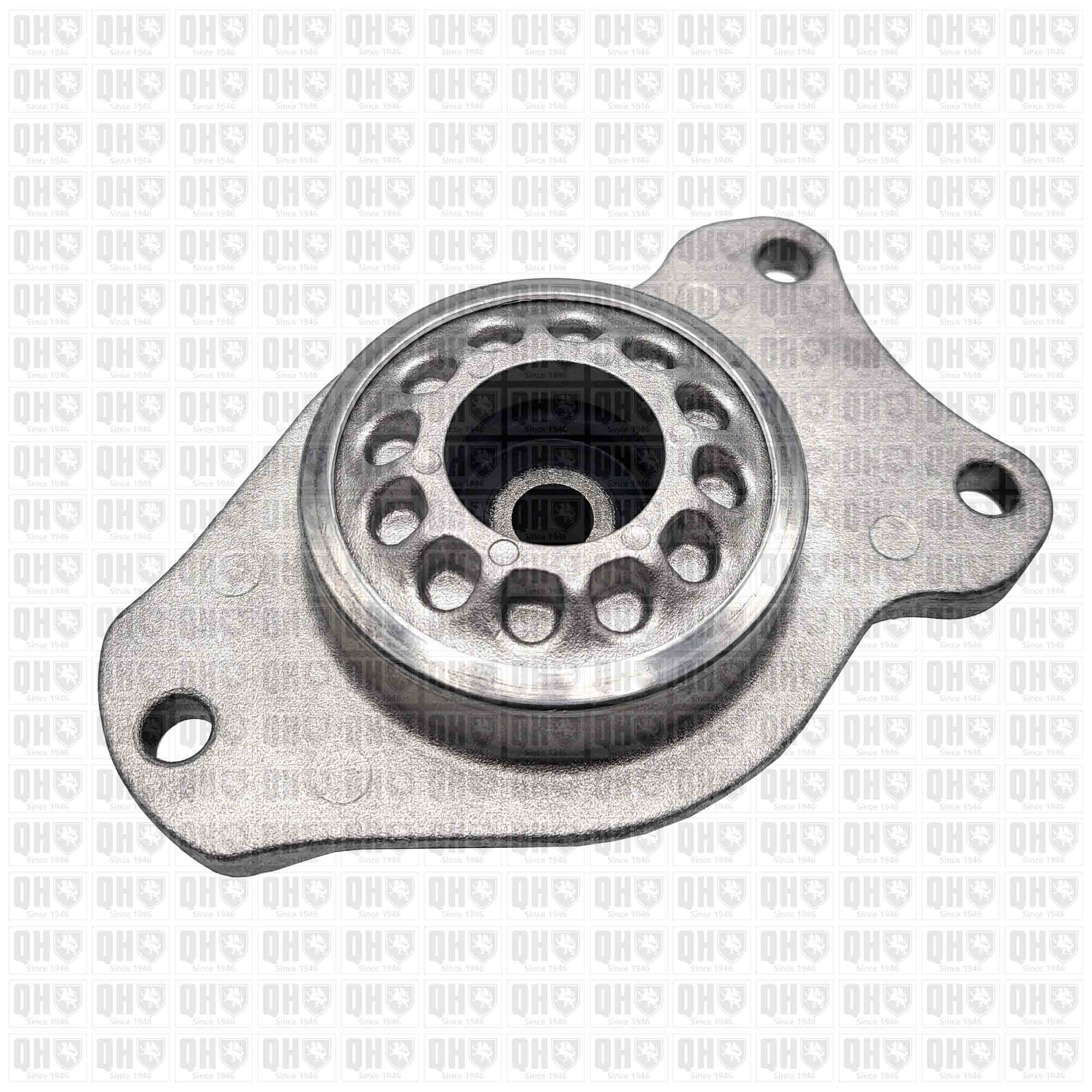 Quinton Hazell EMR6169