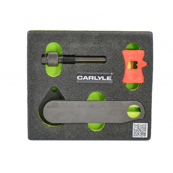 Carlyle C5269 Engine Check Kit Vag Petrol