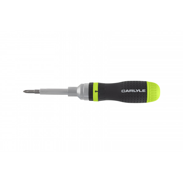 Carlyle CRDBS19 10pc Ratcheting Screwdriver