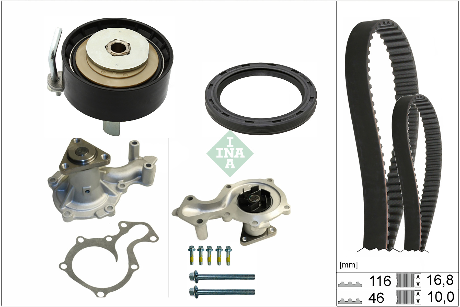 INA 530096130 Timing Belt & Water Pump Kit