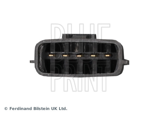 Blue Print ADN174212