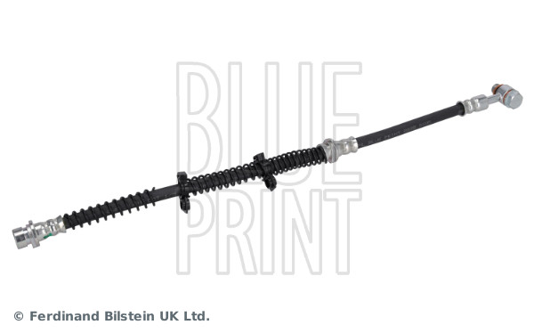 Blue Print ADJ135320