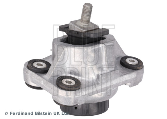 Blue Print ADJ138077