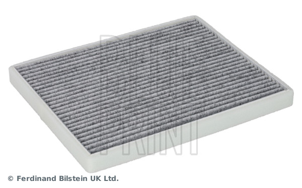 Blue Print ADBP250094