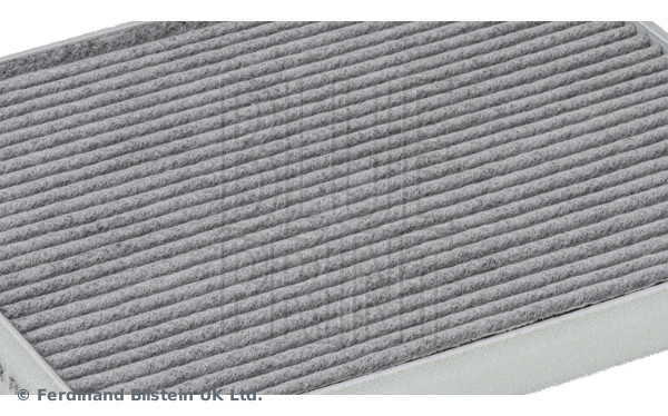 Blue Print ADBP250094