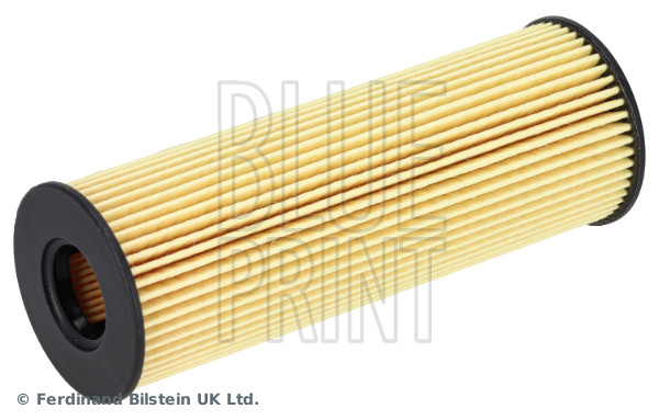 Blue Print ADBP210209