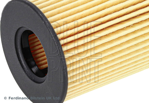 Blue Print ADBP210209