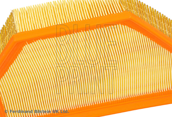 Blue Print ADBP220205