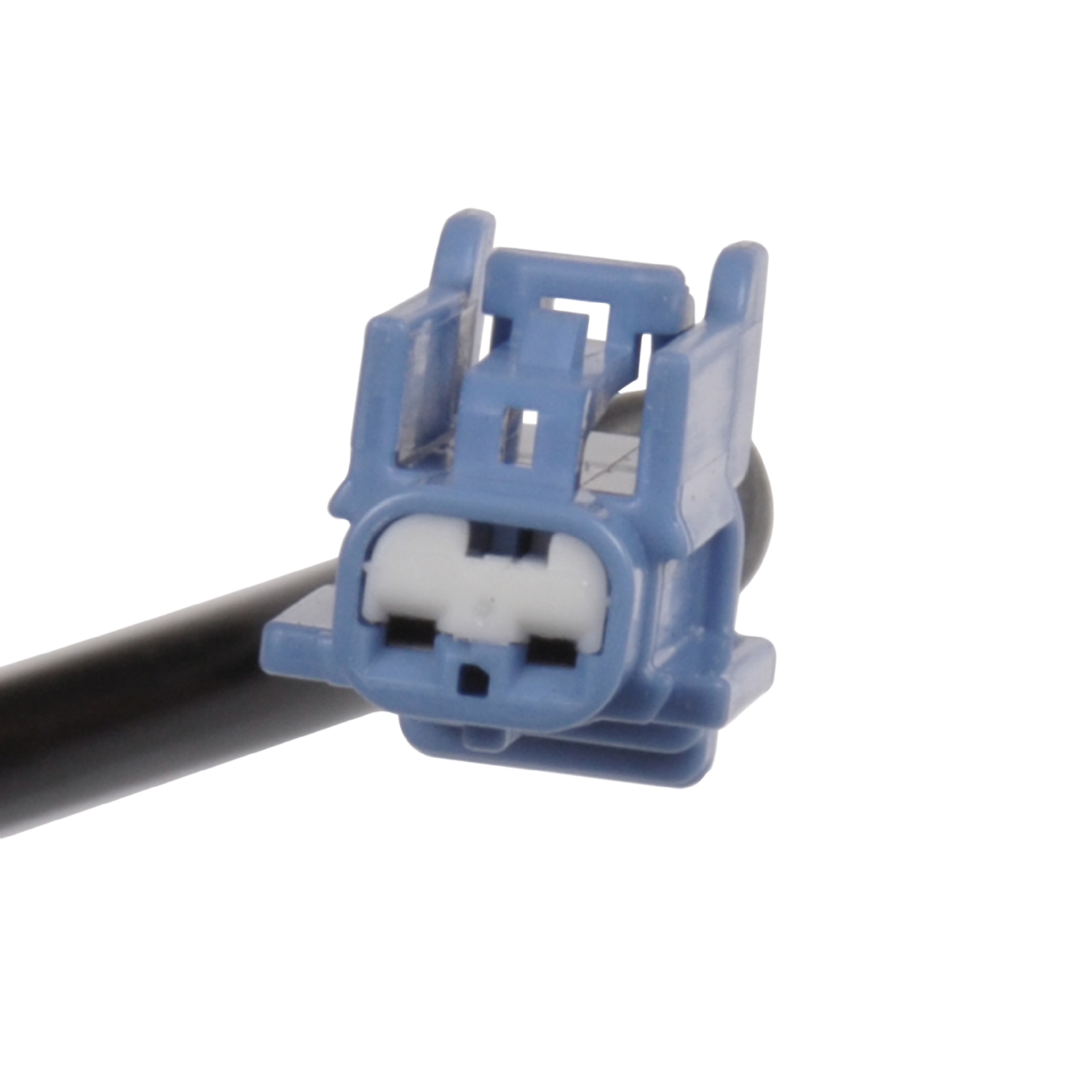 Blue Print ADN17117C