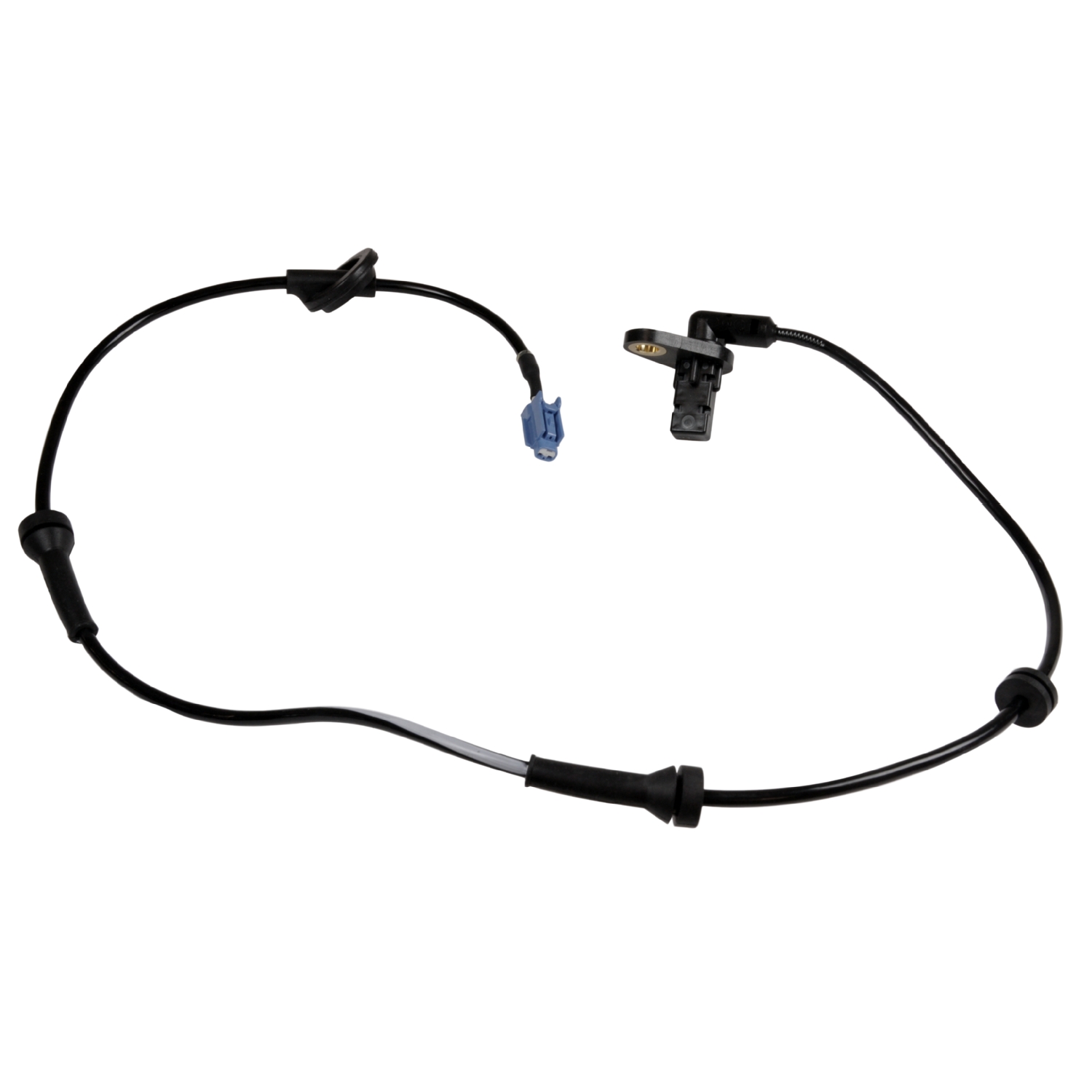 Blue Print ADN17117C