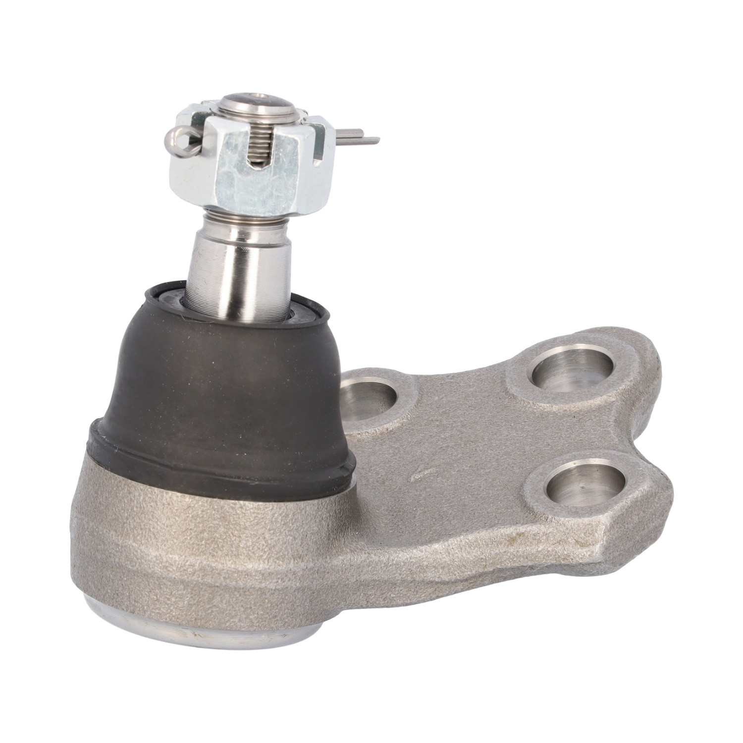 Blue Print ADN186106