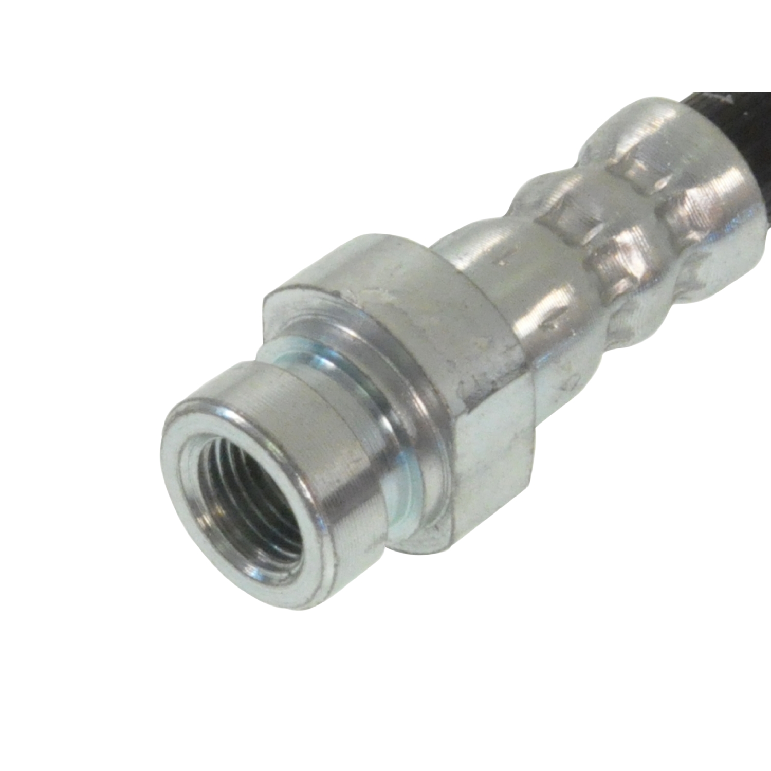 Blue Print ADG053206