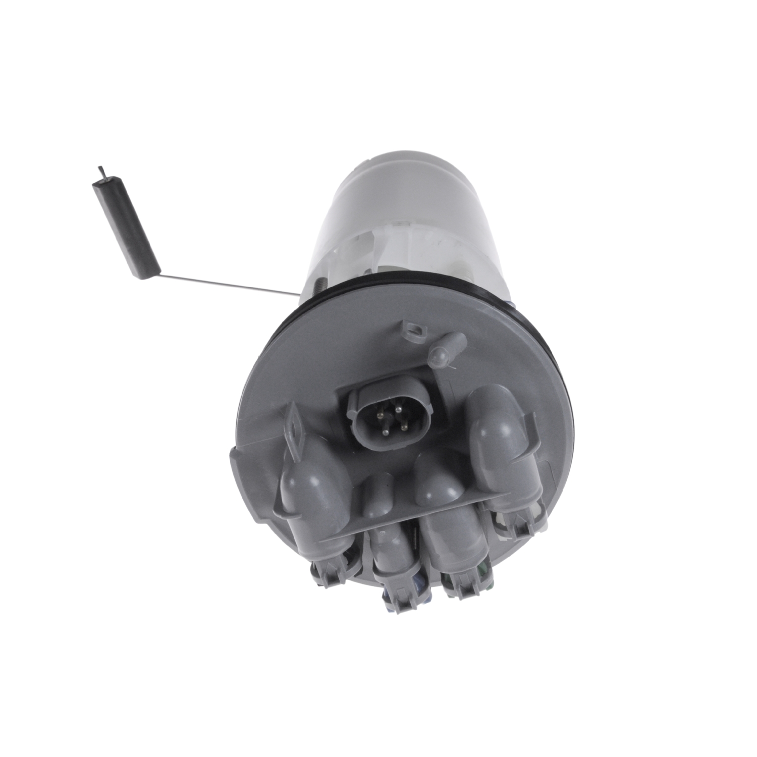 Blue Print ADJ136801