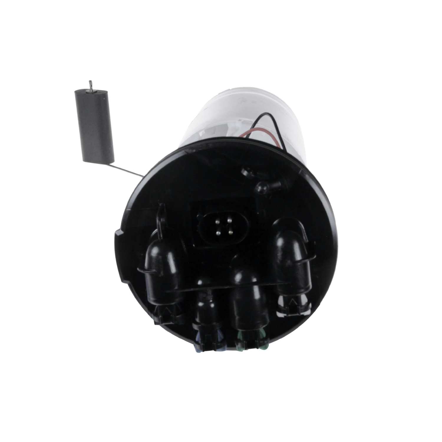 Blue Print ADJ136802