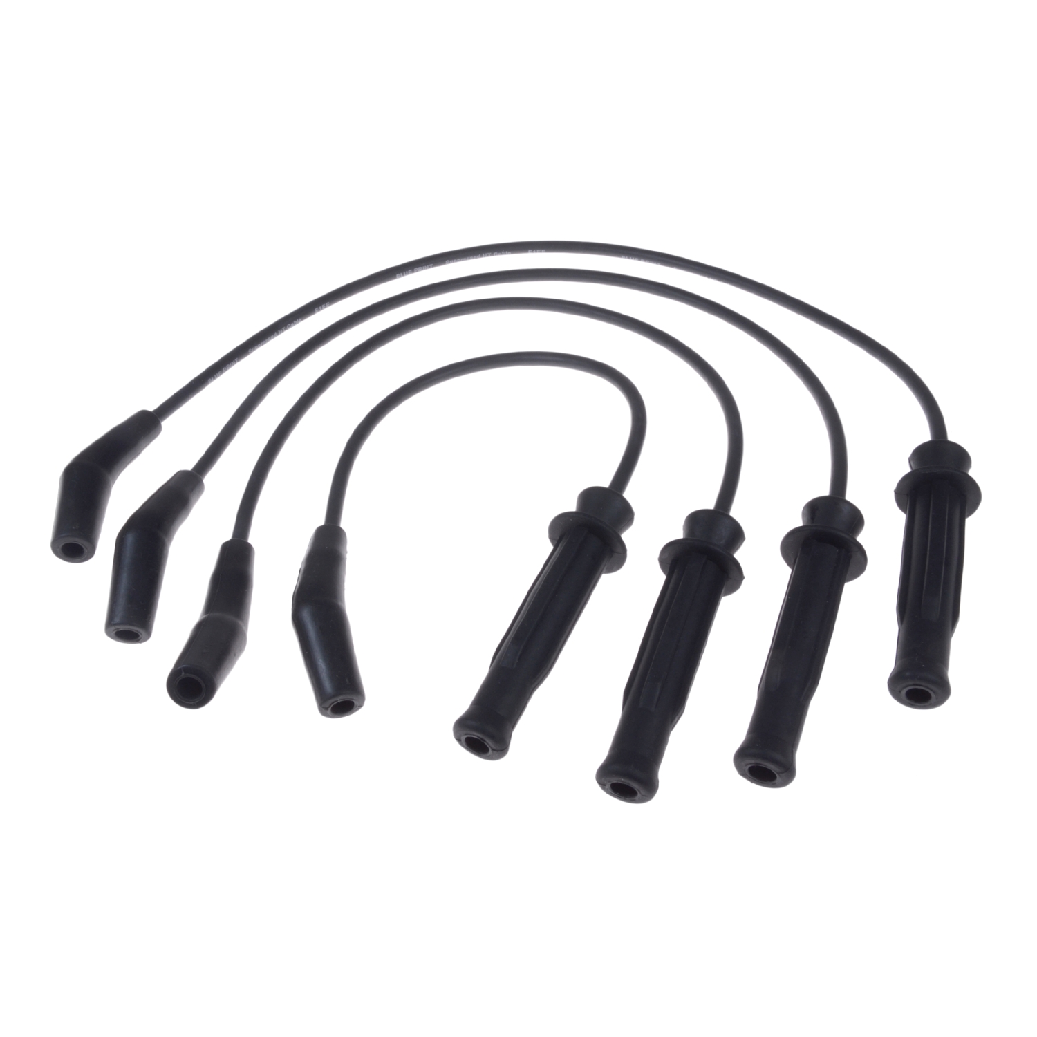 Blue Print ADJ131603